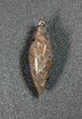 Green Agatized Dinosaur Bone (Gembone) Twist Pendant #54082-1